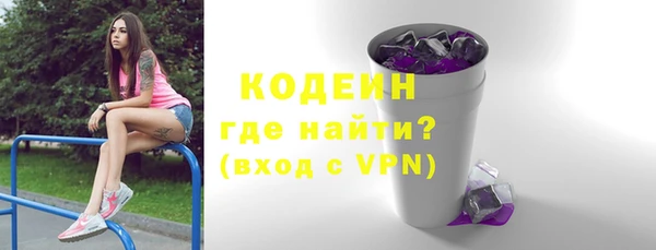 индика Горнозаводск